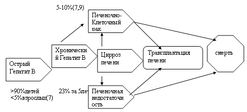 Реферат: Хронический гепатит